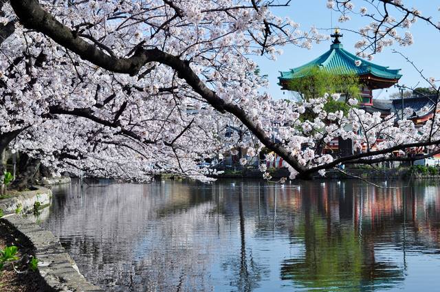 下町探検